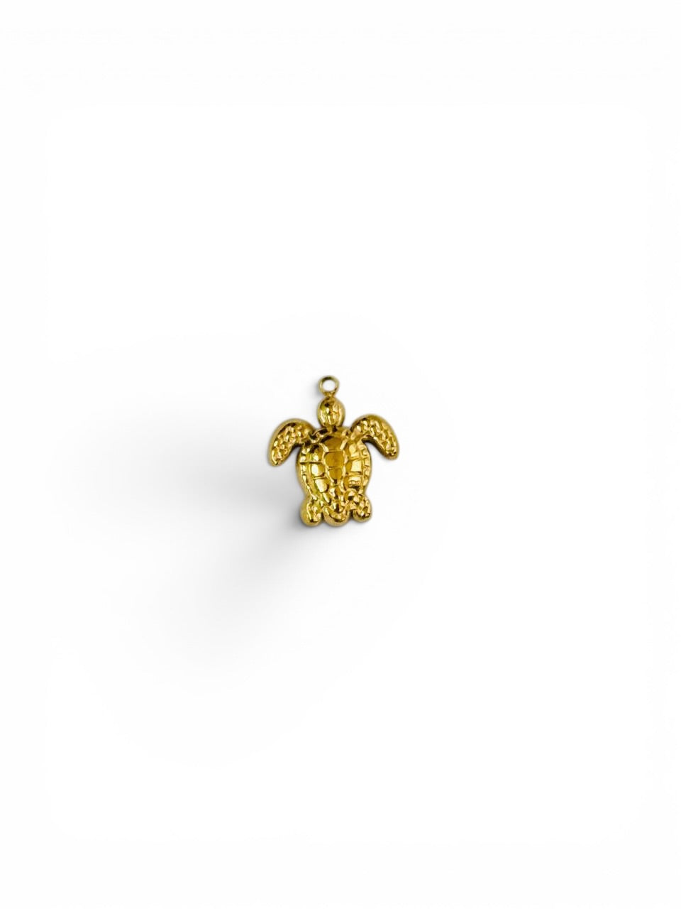 Tortue