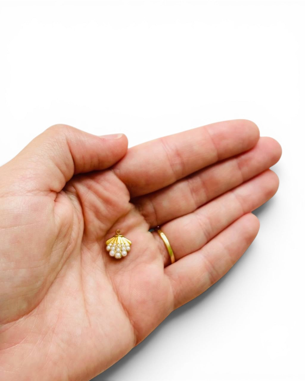 Coquillage perle