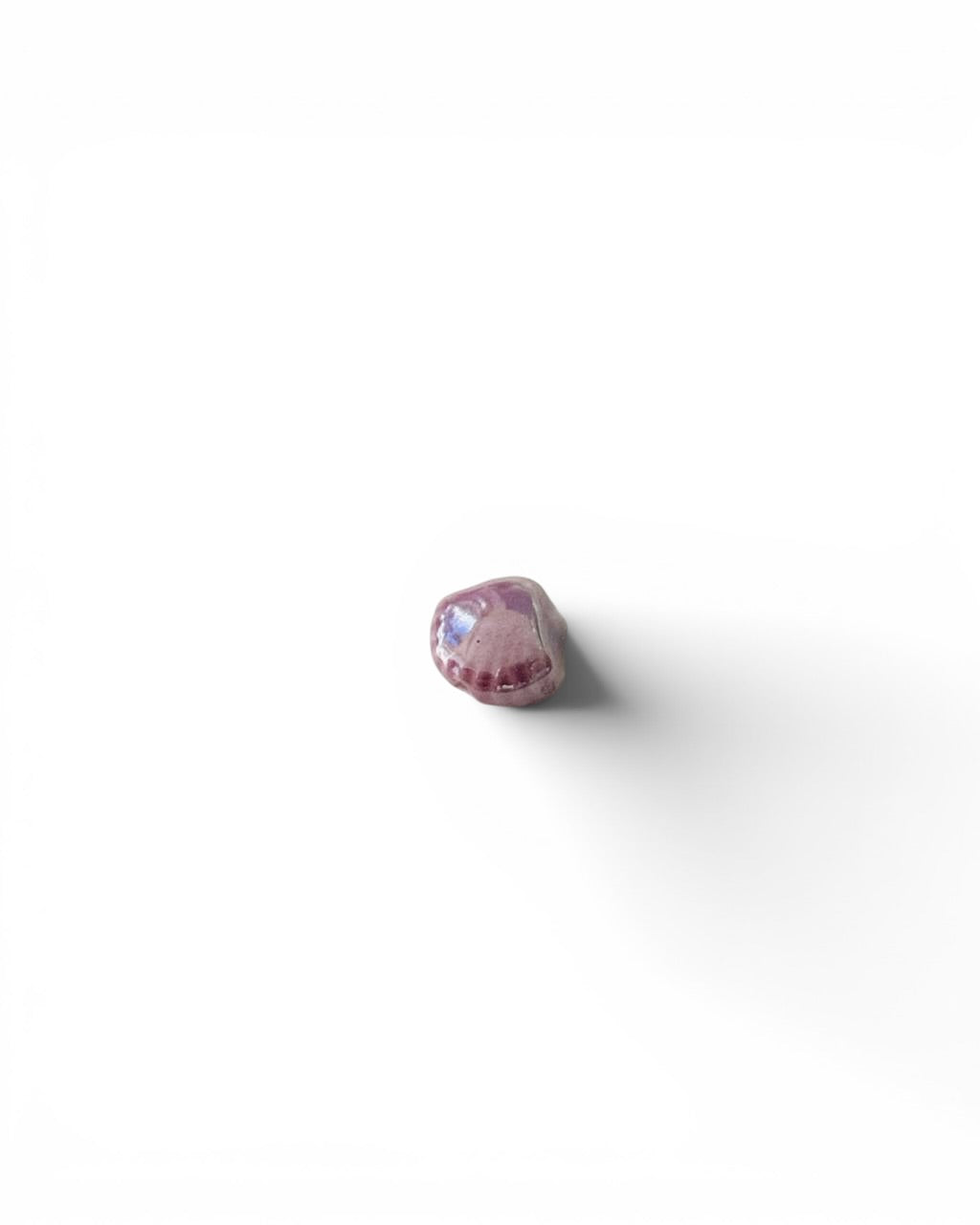 Coquillage céramique