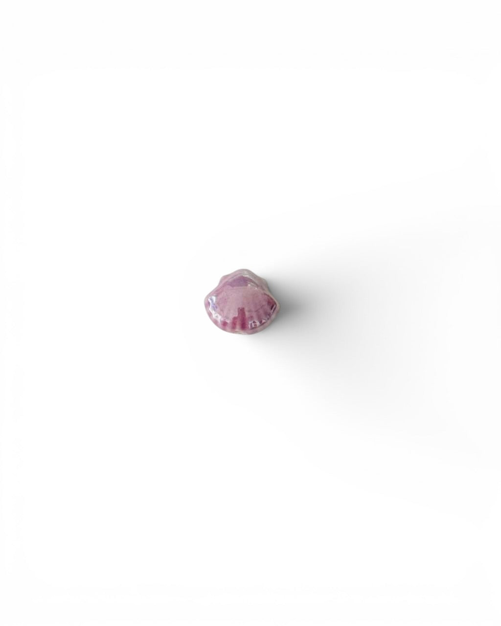 Coquillage céramique