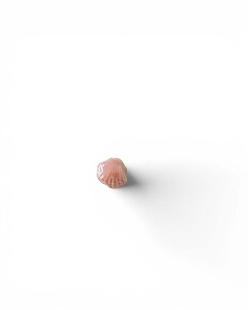 Coquillage céramique