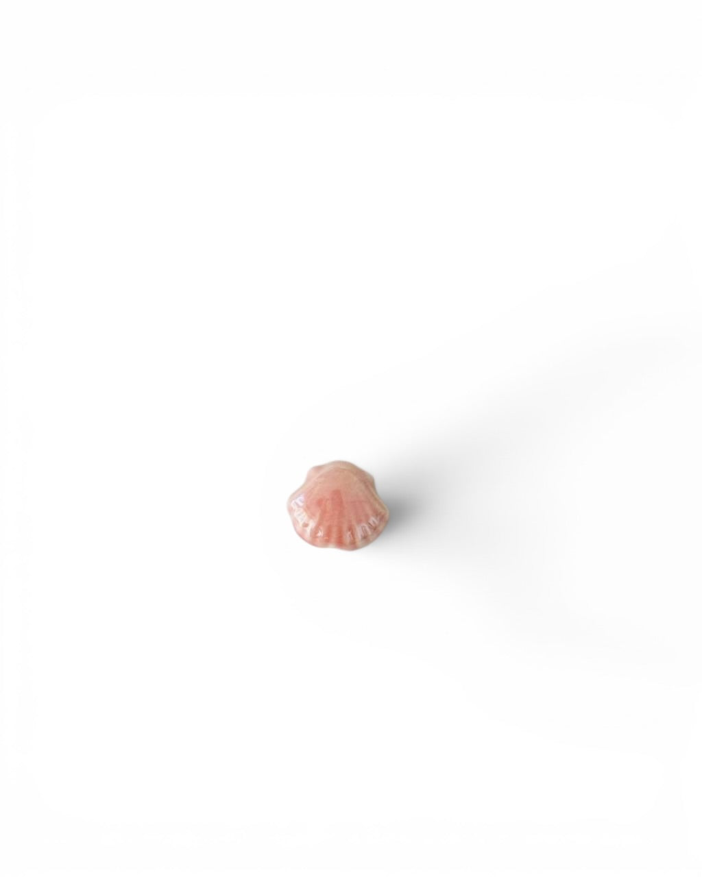 Coquillage céramique