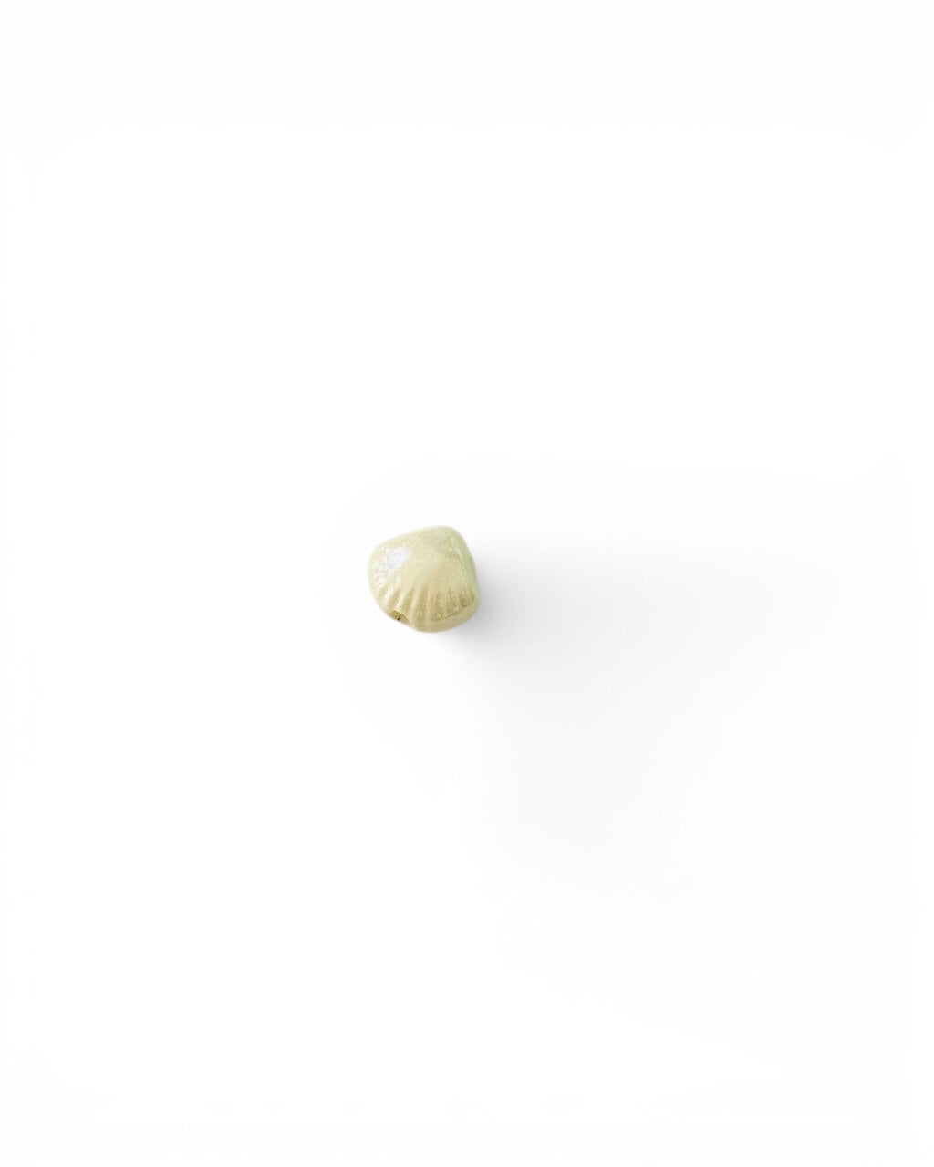 Coquillage céramique