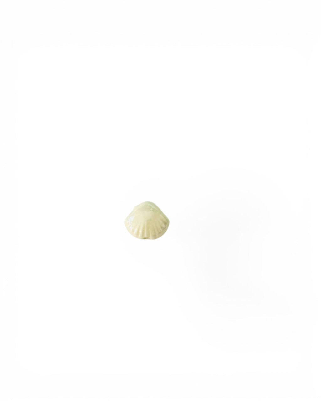 Coquillage céramique
