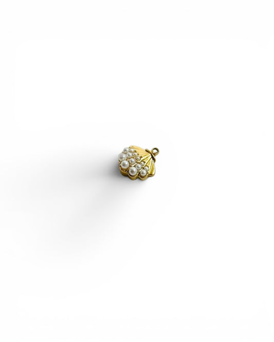 Coquillage perle