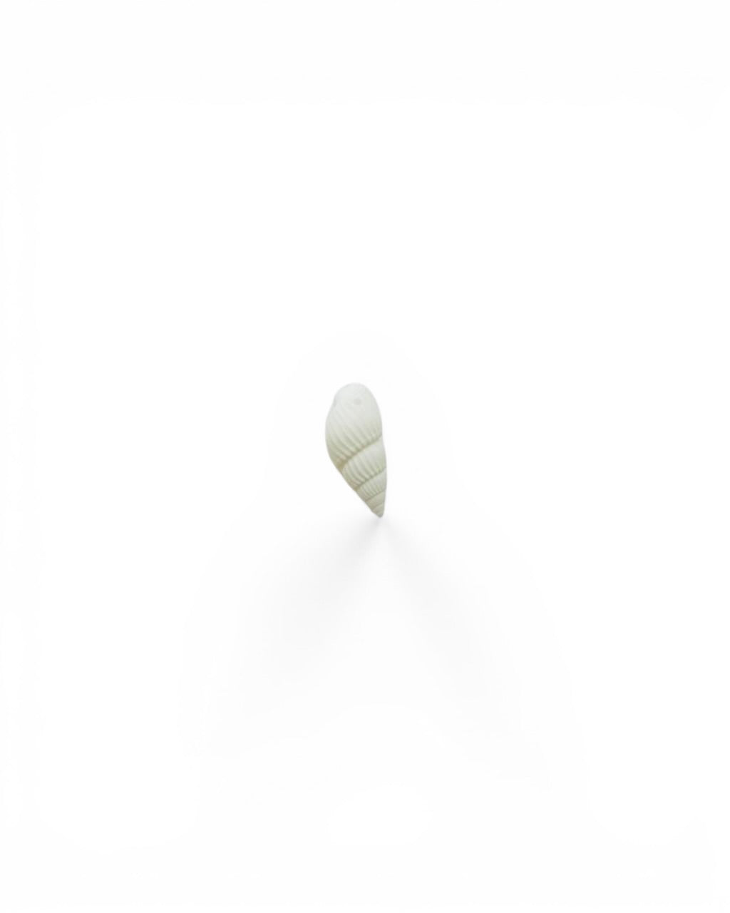 Coquillage spirale blanc
