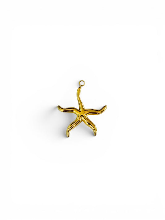 Etoile de mer