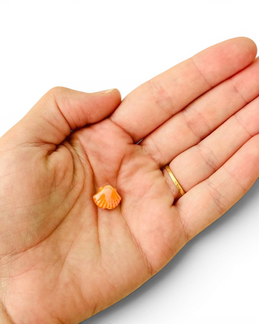 Coquillage céramique