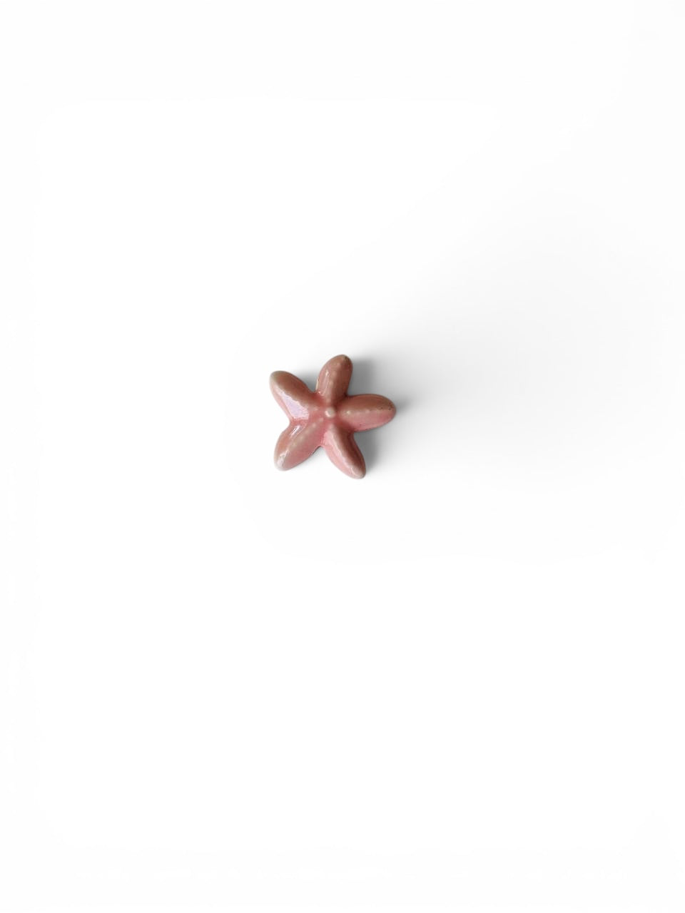 Étoile de mer
